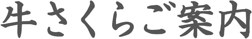 当店のご案内